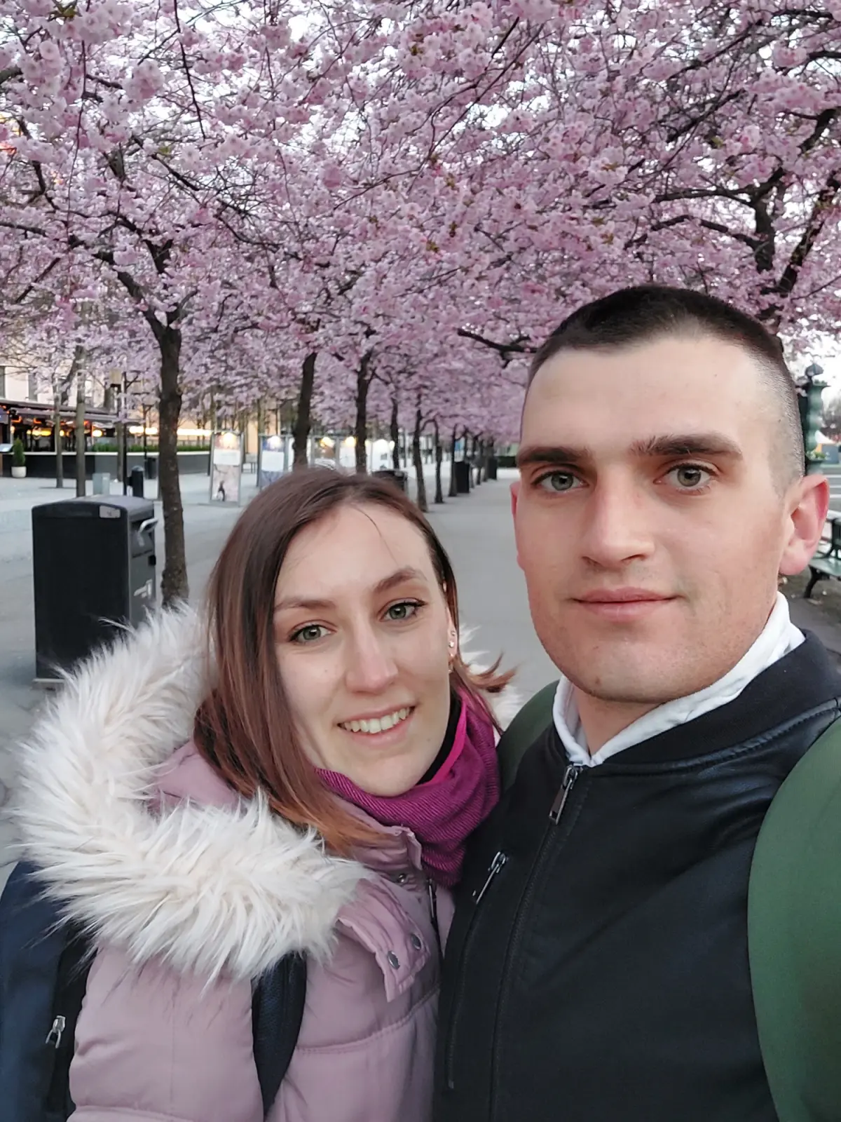 Cvjetanje trešanja u parku