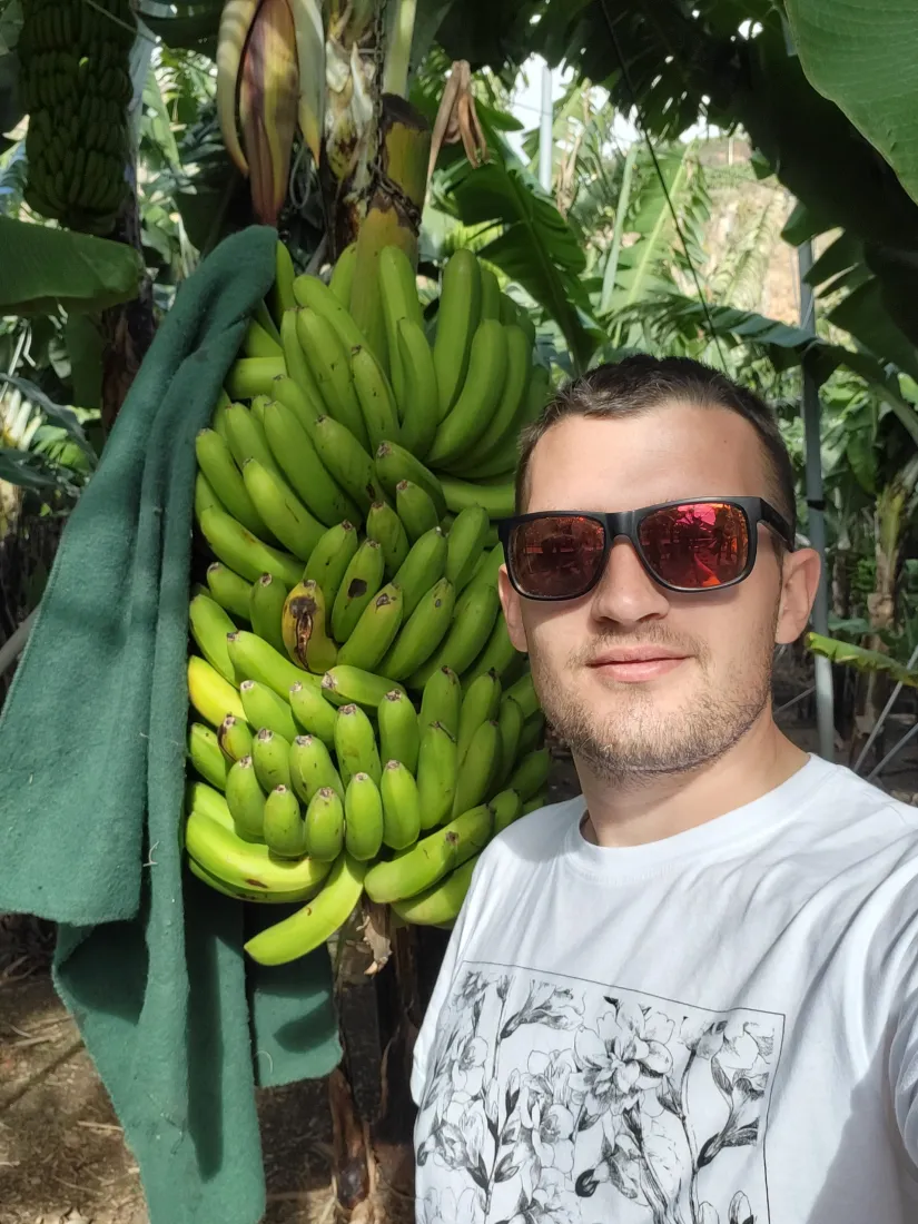 Hidden gem Madeira, muzej banana