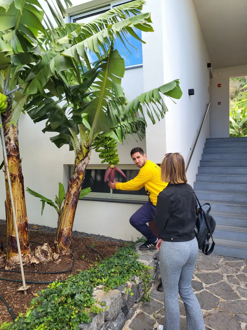 Hidden gem Madeira, muzej banana