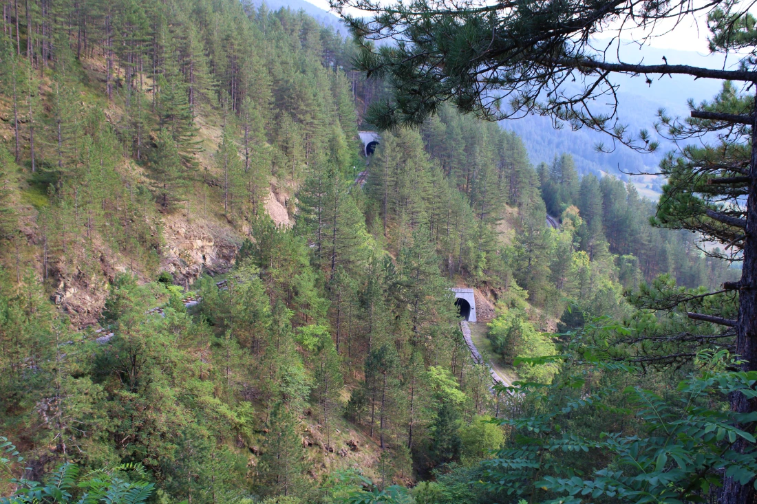Šarganska osmica, Krst, Srbija