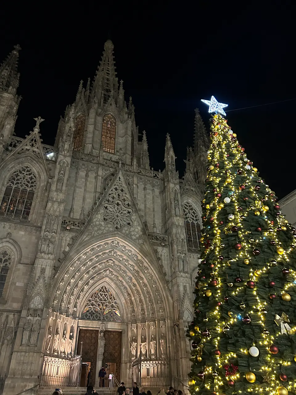 Advent Barcelona Gotička četvrt